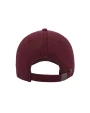 Petjes ATLANTIS DAD HAT DESTROYED voor bedrukking &amp; borduring